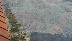 Nástup na běžecké tratě