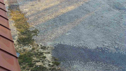 Nástup na běžecké tratě