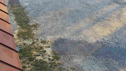 Nástup na běžecké tratě