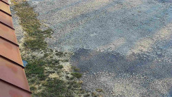 Nástup na běžecké tratě