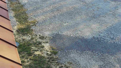 Nástup na běžecké tratě