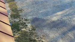 Nástup na běžecké tratě