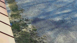 Nástup na běžecké tratě