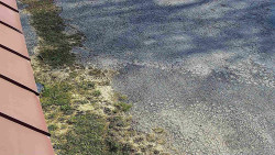 Nástup na běžecké tratě