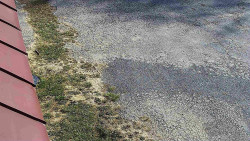 Nástup na běžecké tratě