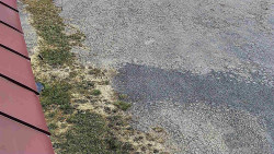 Nástup na běžecké tratě