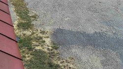 Nástup na běžecké tratě