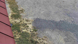 Nástup na běžecké tratě