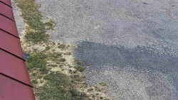 Nástup na běžecké tratě