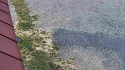 Nástup na běžecké tratě