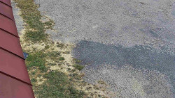 Nástup na běžecké tratě