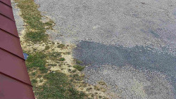 Nástup na běžecké tratě