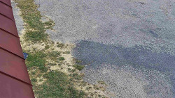 Nástup na běžecké tratě