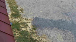 Nástup na běžecké tratě