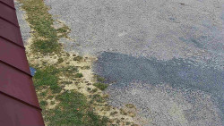 Nástup na běžecké tratě