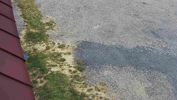 Nástup na běžecké tratě