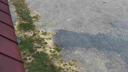 Nástup na běžecké tratě