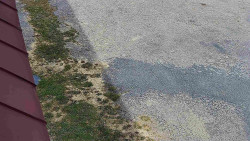 Nástup na běžecké tratě