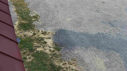 Nástup na běžecké tratě