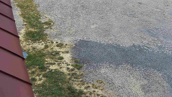 Nástup na běžecké tratě