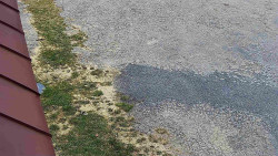 Nástup na běžecké tratě