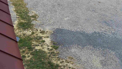 Nástup na běžecké tratě