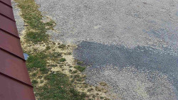 Nástup na běžecké tratě