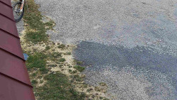 Nástup na běžecké tratě