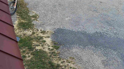 Nástup na běžecké tratě