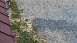 Nástup na běžecké tratě