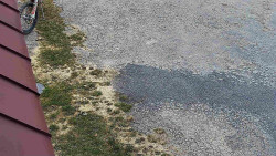 Nástup na běžecké tratě