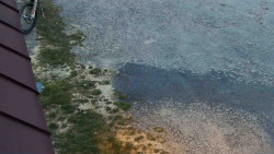 Nástup na běžecké tratě