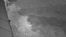 Nástup na běžecké tratě