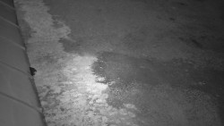 Nástup na běžecké tratě