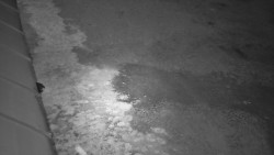 Nástup na běžecké tratě