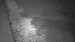 Nástup na běžecké tratě