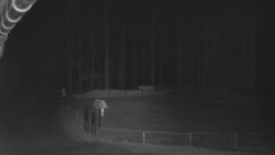 Nástup na běžecké tratě