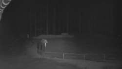 Nástup na běžecké tratě