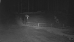 Nástup na běžecké tratě