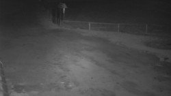 Nástup na běžecké tratě