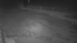 Nástup na běžecké tratě