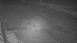 Nástup na běžecké tratě