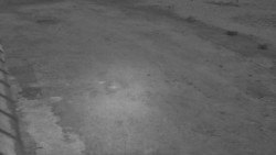 Nástup na běžecké tratě