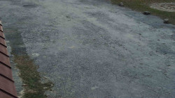 Nástup na běžecké tratě