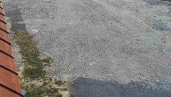 Nástup na běžecké tratě