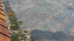 Nástup na běžecké tratě