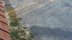 Nástup na běžecké tratě