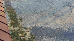 Nástup na běžecké tratě