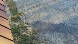 Nástup na běžecké tratě