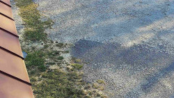 Nástup na běžecké tratě